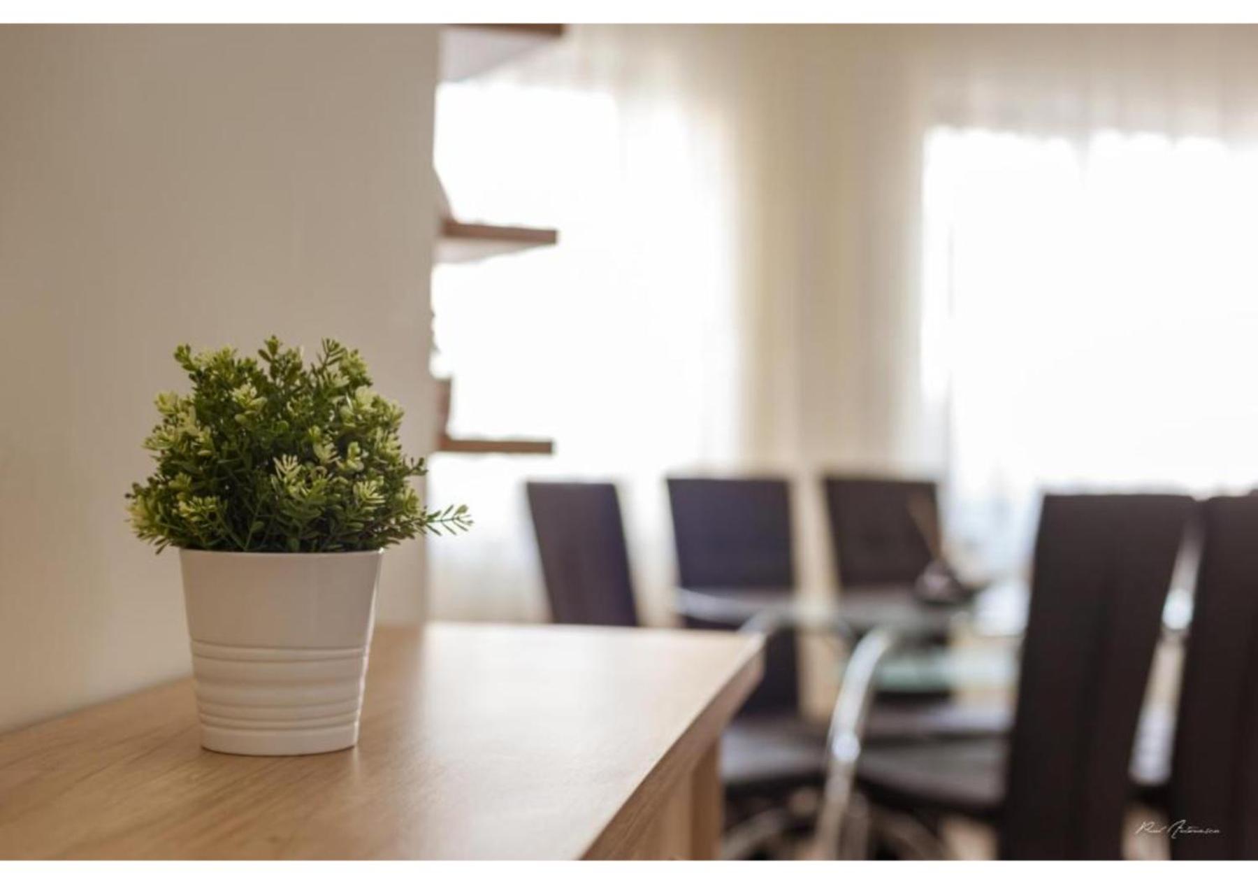 Luxury Apartment ปีเตช ภายนอก รูปภาพ